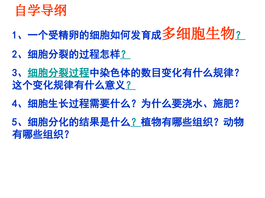 萝卜家园七年级上二单元二章_第3页