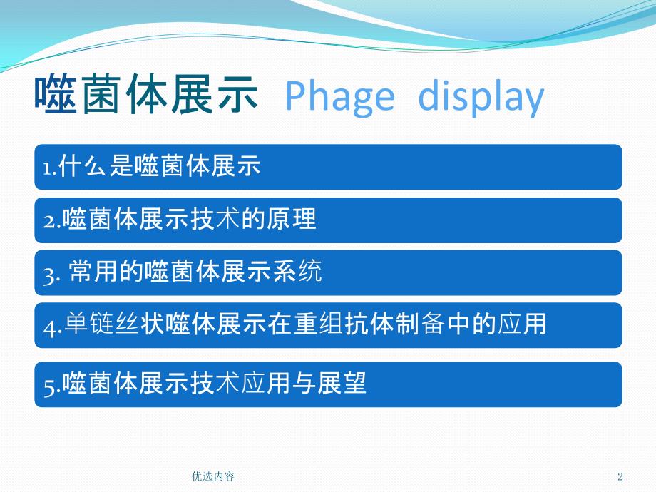 噬菌体展示技术和其通用实验技术简介【特选材料】_第2页