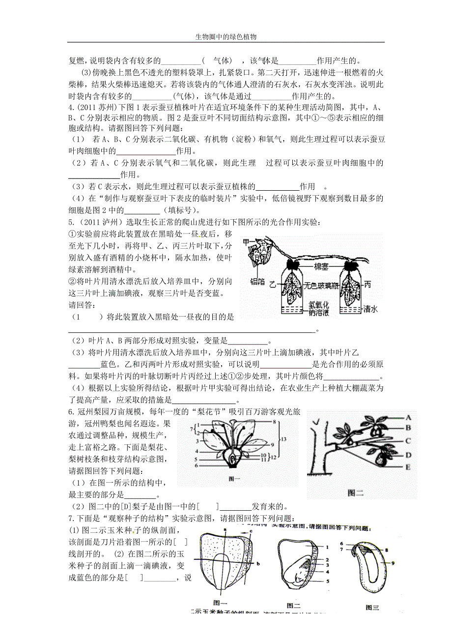 生物圈中的绿色植物练习题[精选文档]_第4页