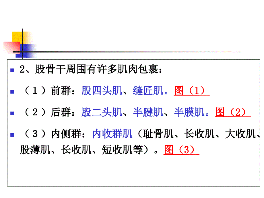 最新：股骨干折课件文档资料_第2页