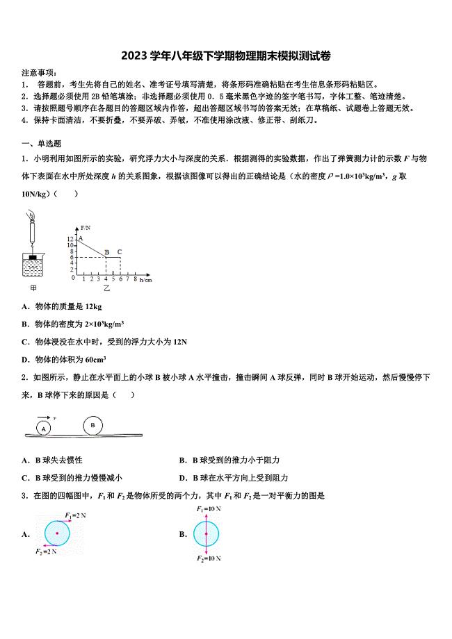 江苏省海安县白甸镇初级中学2023年物理八下期末检测试题（含解析）.doc