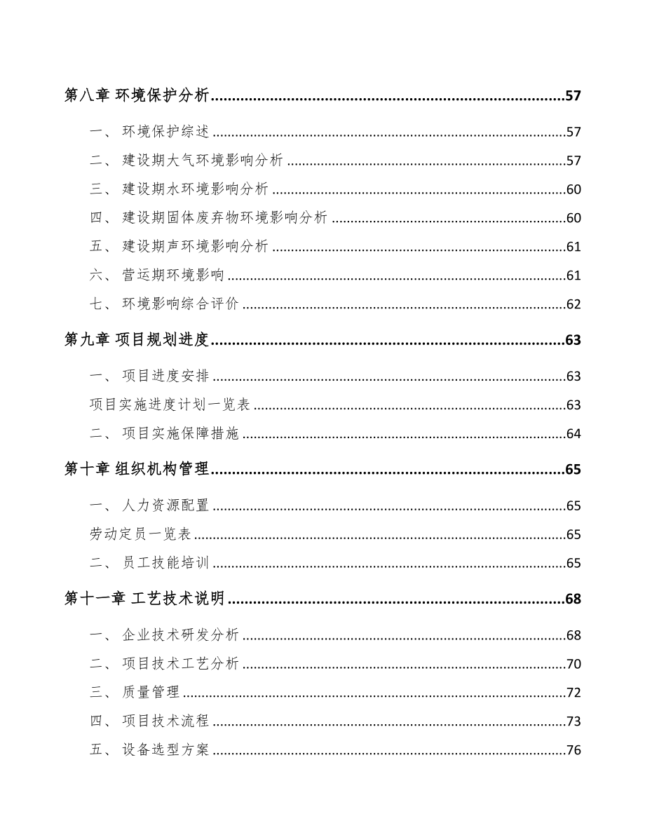 开封芯片项目可行性研究报告(DOC 81页)_第4页