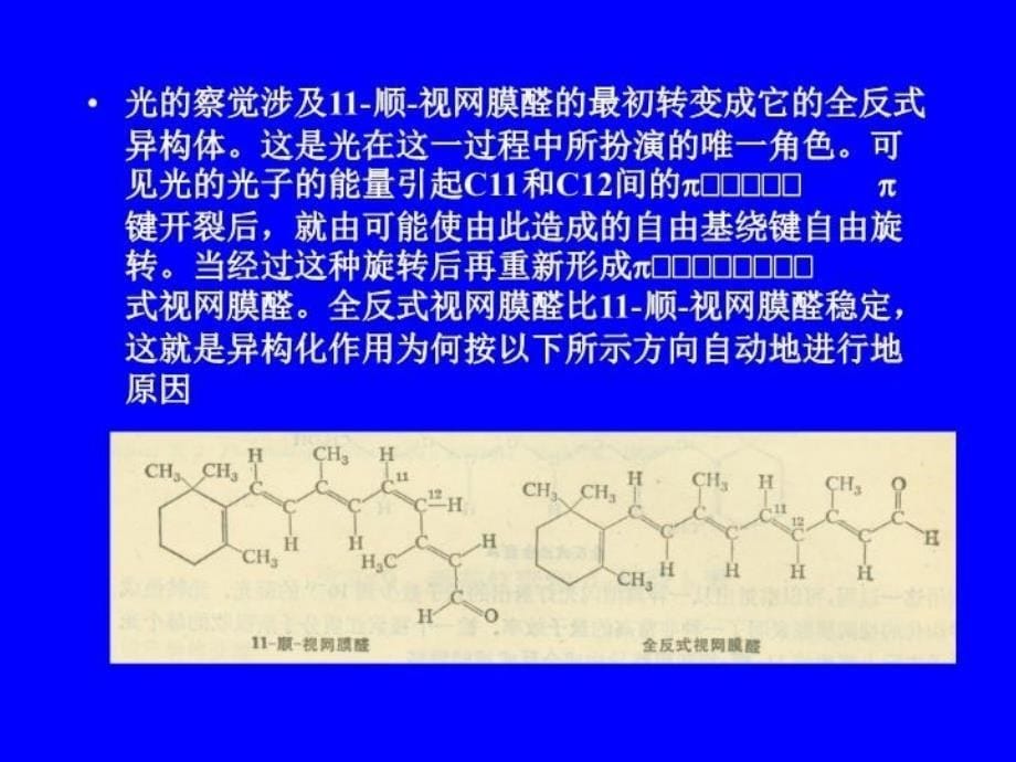 从番茄酱中提取番茄红素和胡萝卜素复习过程_第5页