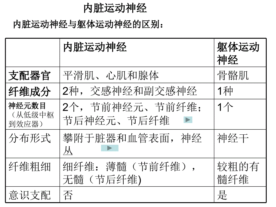 内脏神经new11_第2页