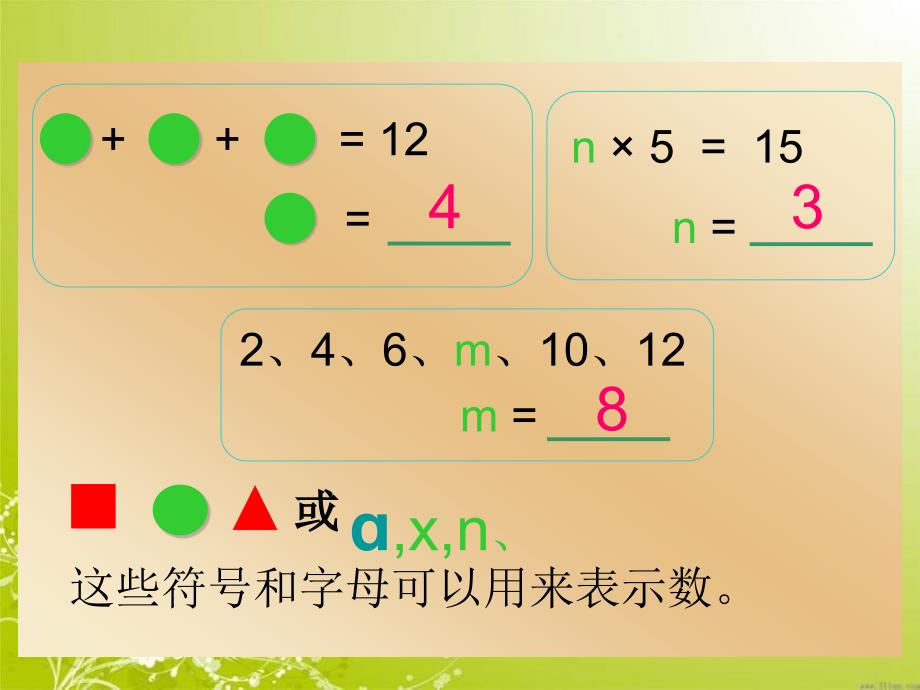 41用字母表示数3_第4页