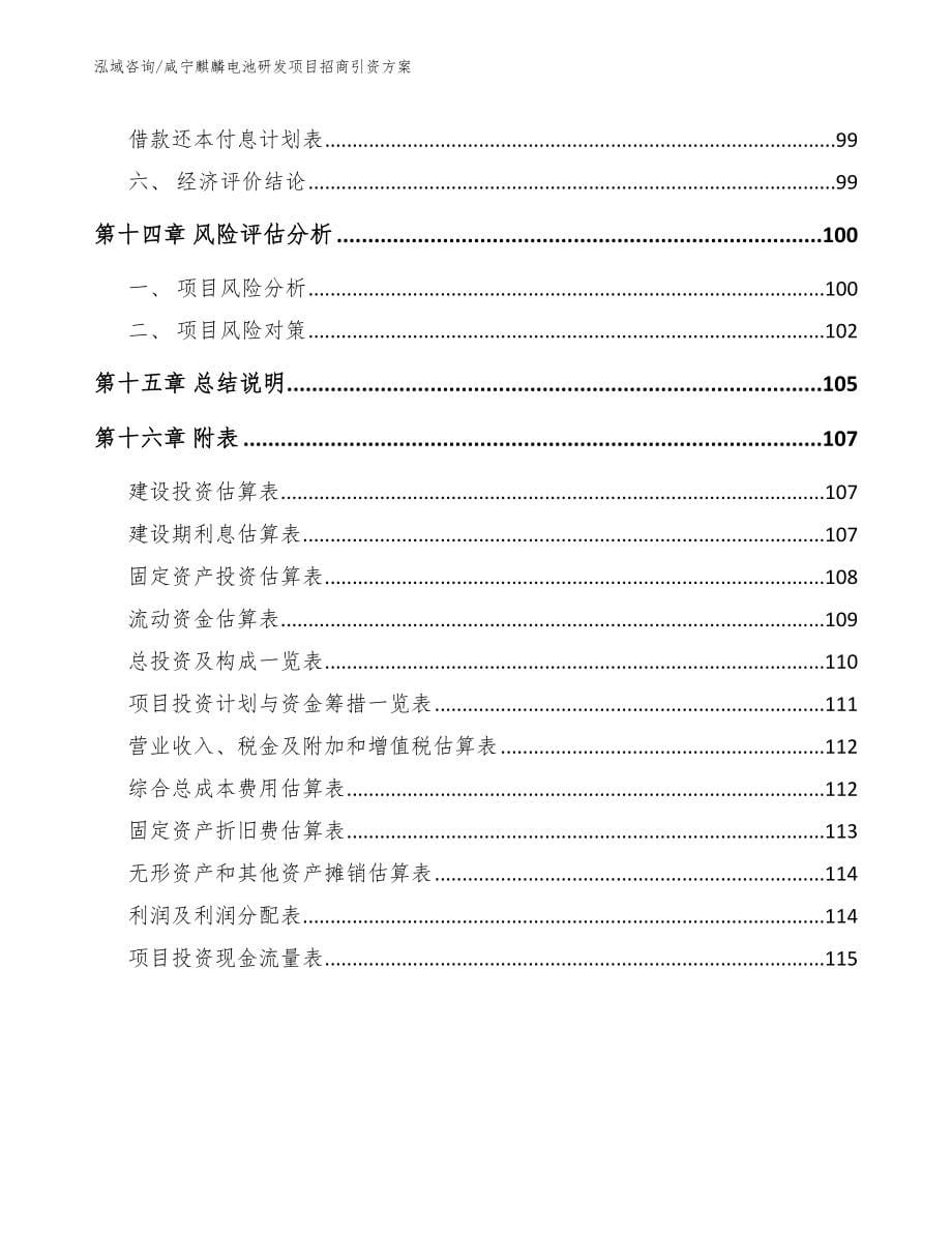 咸宁麒麟电池研发项目招商引资方案_第5页