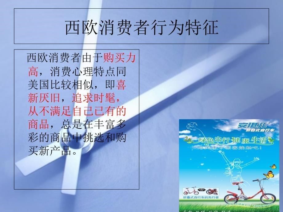 如何把中国的自行车打入欧洲市场的案例_第5页