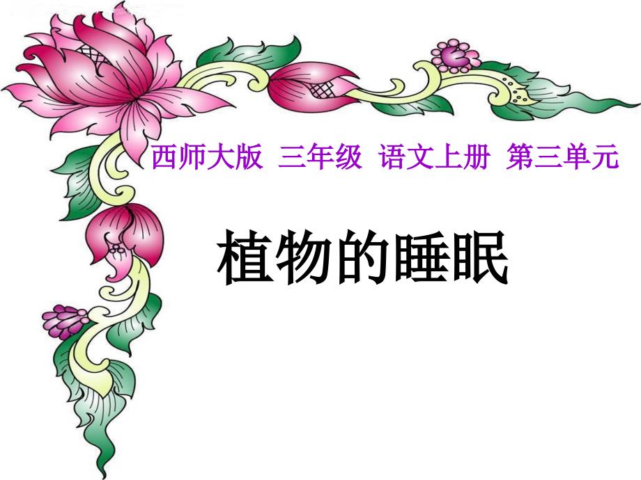 西师大版三年级语文上册课件植物的睡眠_第1页