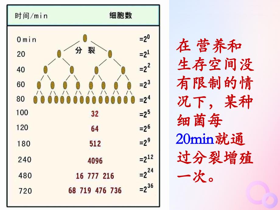 四川省成都市高中生物 第四章 种群和群落 4.2 种群数量的变化课件 新人教版必修3_第2页