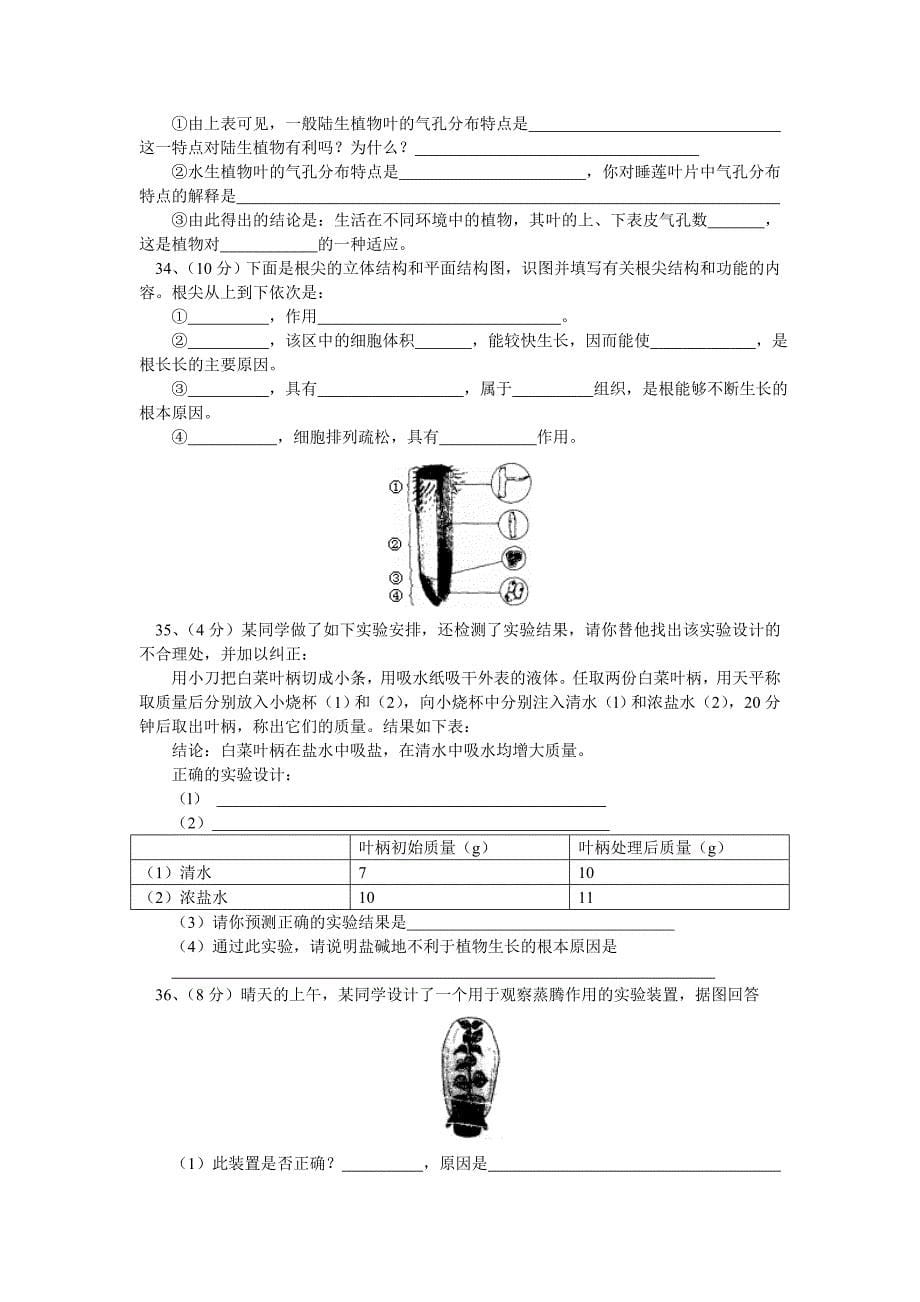 八下植物与土壤总复习测试卷(带答案).doc_第5页