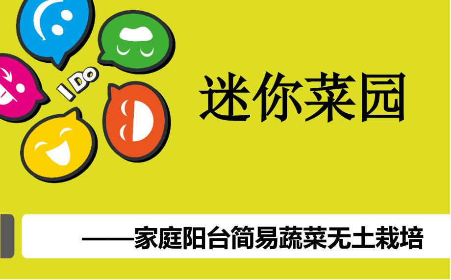 园艺迷你菜园家庭阳台简易蔬菜无土栽培_第1页