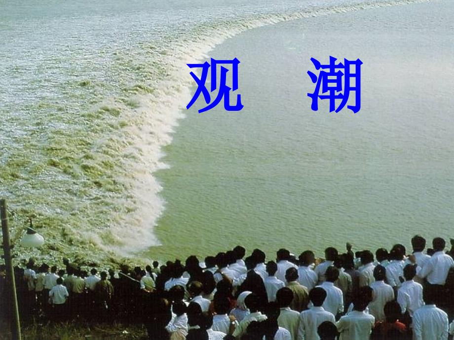 语文人教版四年级上册观潮.观潮课件_第1页