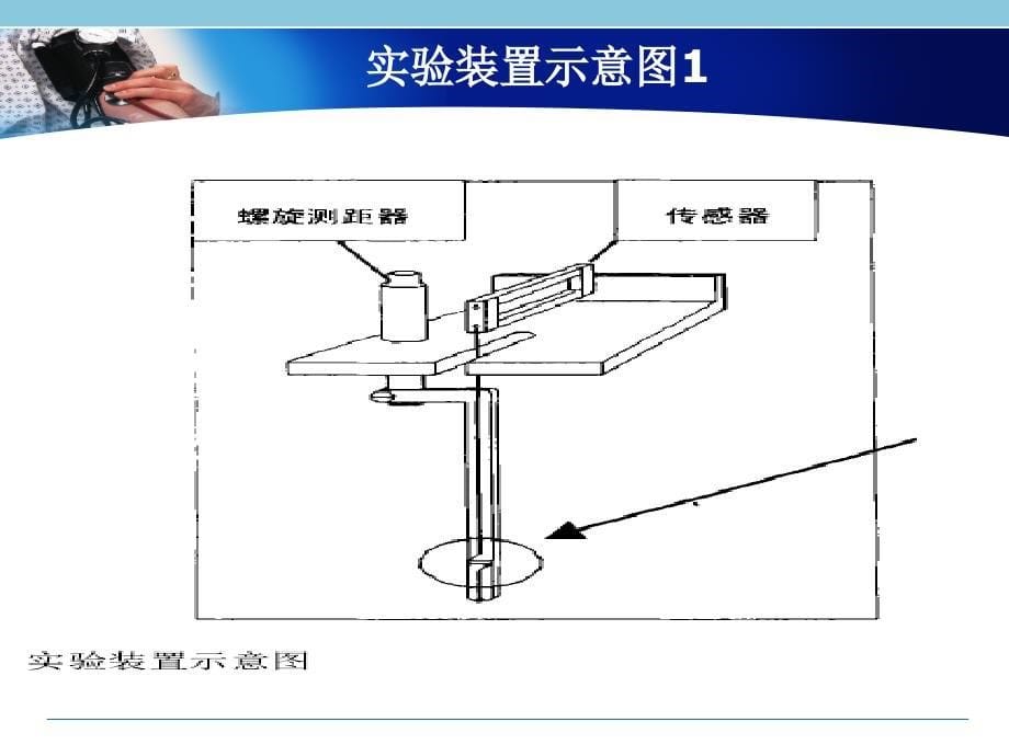 离体血管环的实验装置和方法.ppt_第5页