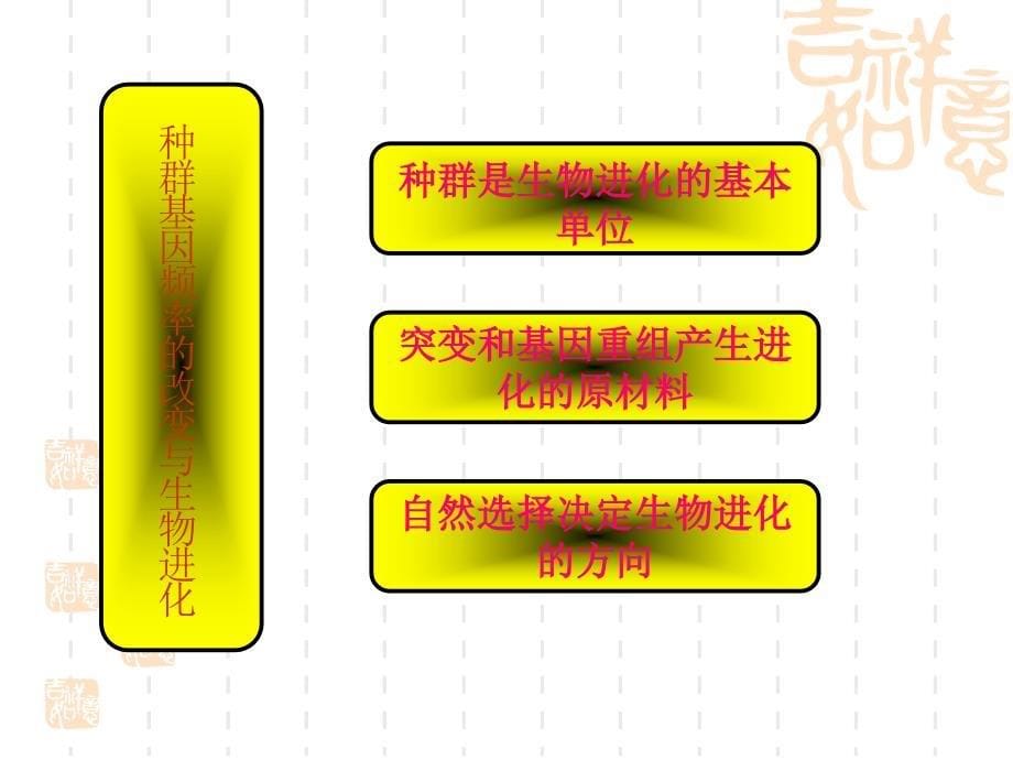 新课标人教版课件系列 种群基因频率的改变与生物进化_第5页