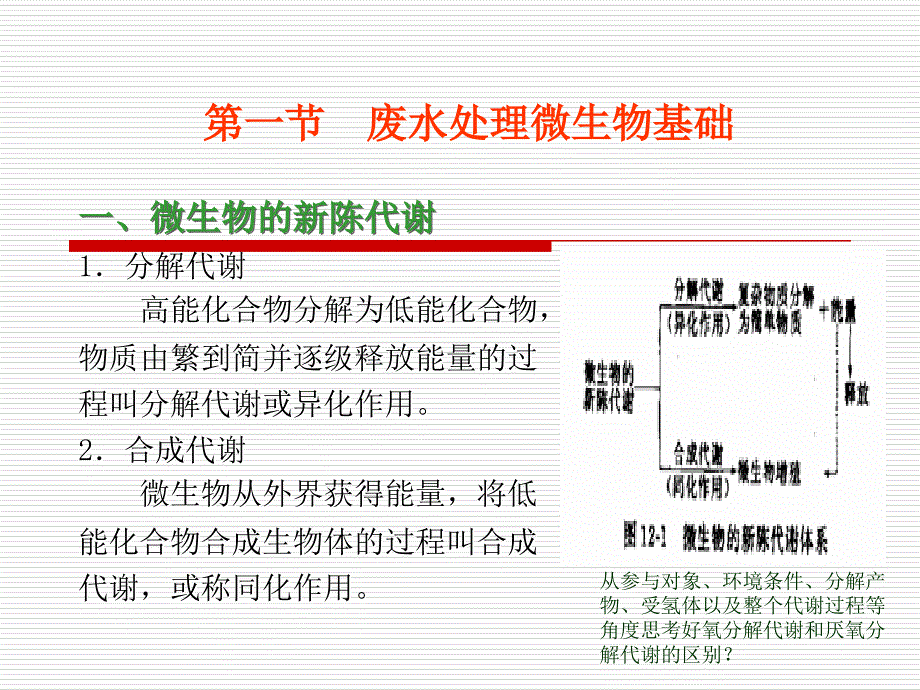 废水生化处理理论基础_第4页