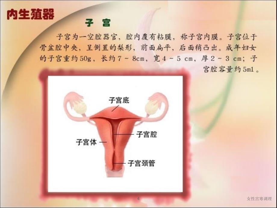 女性宫寒调理课件_第4页