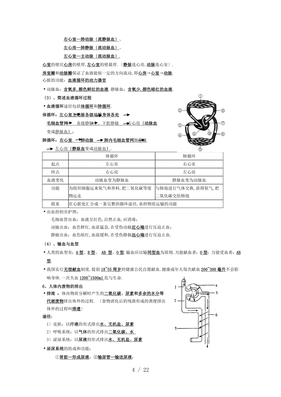 北师大版初中生物中考复习提纲_第4页