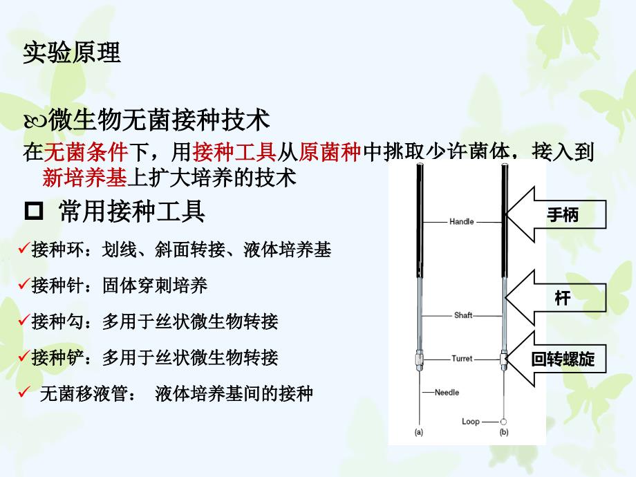 实验微生物无菌接种分离和纯化.ppt_第3页