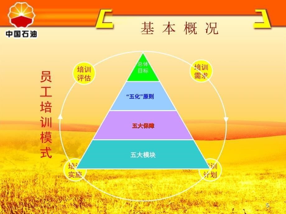 建立学习型组织培养素质化员工_第5页