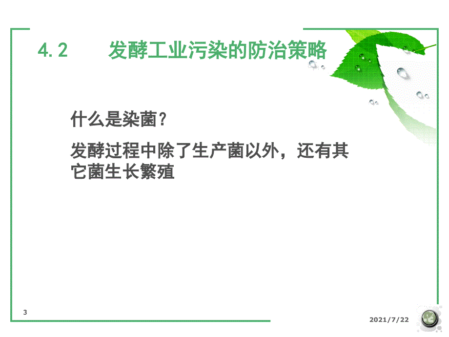 发酵工程与设备第四章发酵工业的无菌技术PPT课件_第3页