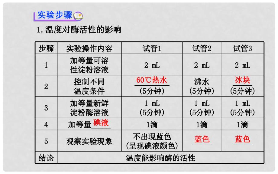 高三生物总复习 第5章探究 影响酶活性的条件课件 新人教版必修1_第4页