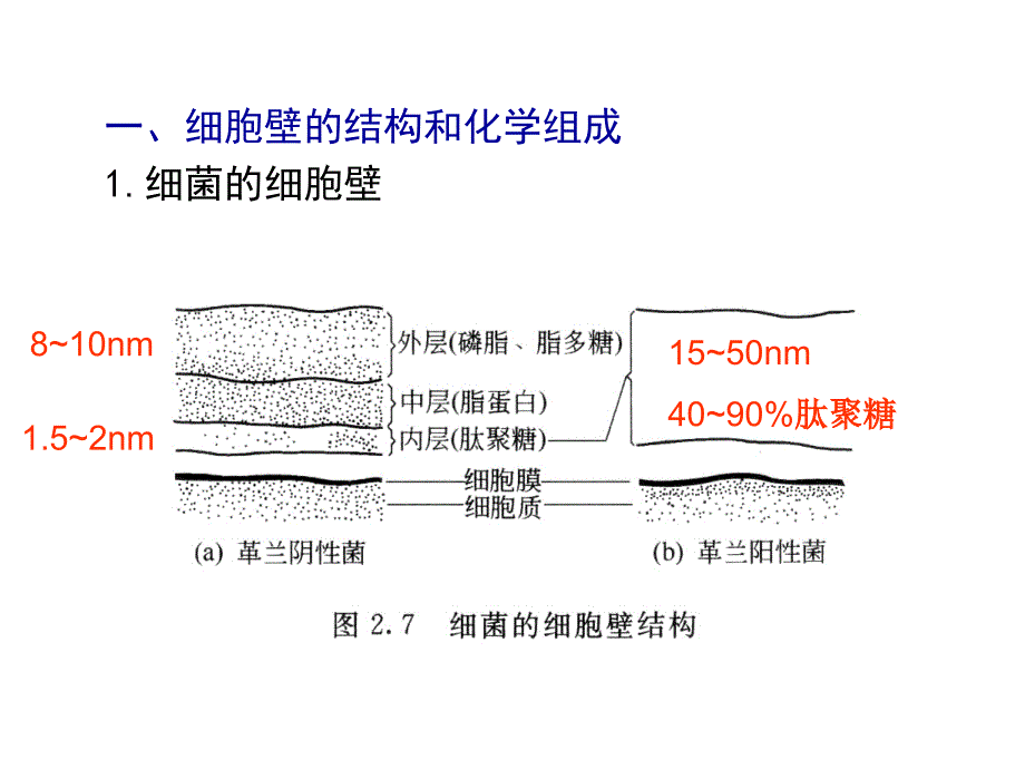 生物分离-细胞破碎_第3页