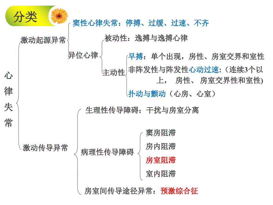 循环系统疾病病人的护理--心律失常课件_第3页