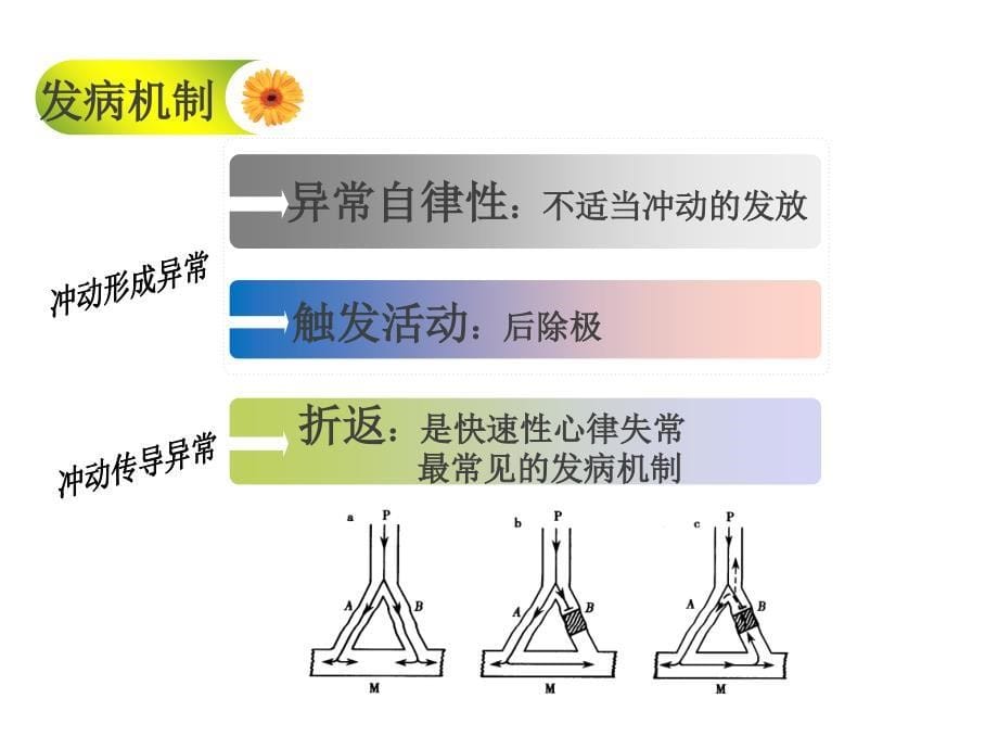 循环系统疾病病人的护理--心律失常课件_第5页