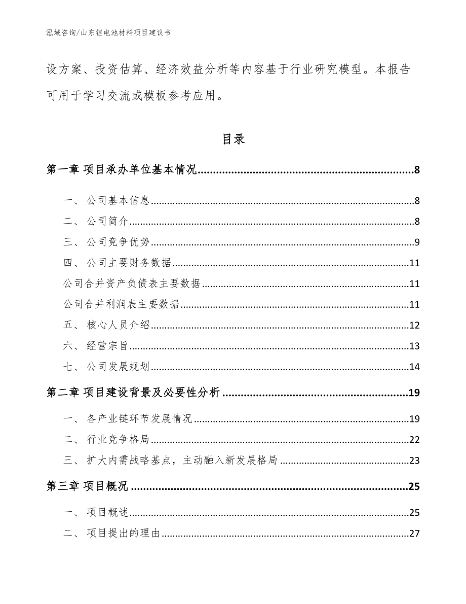 山东锂电池材料项目建议书模板范文_第2页