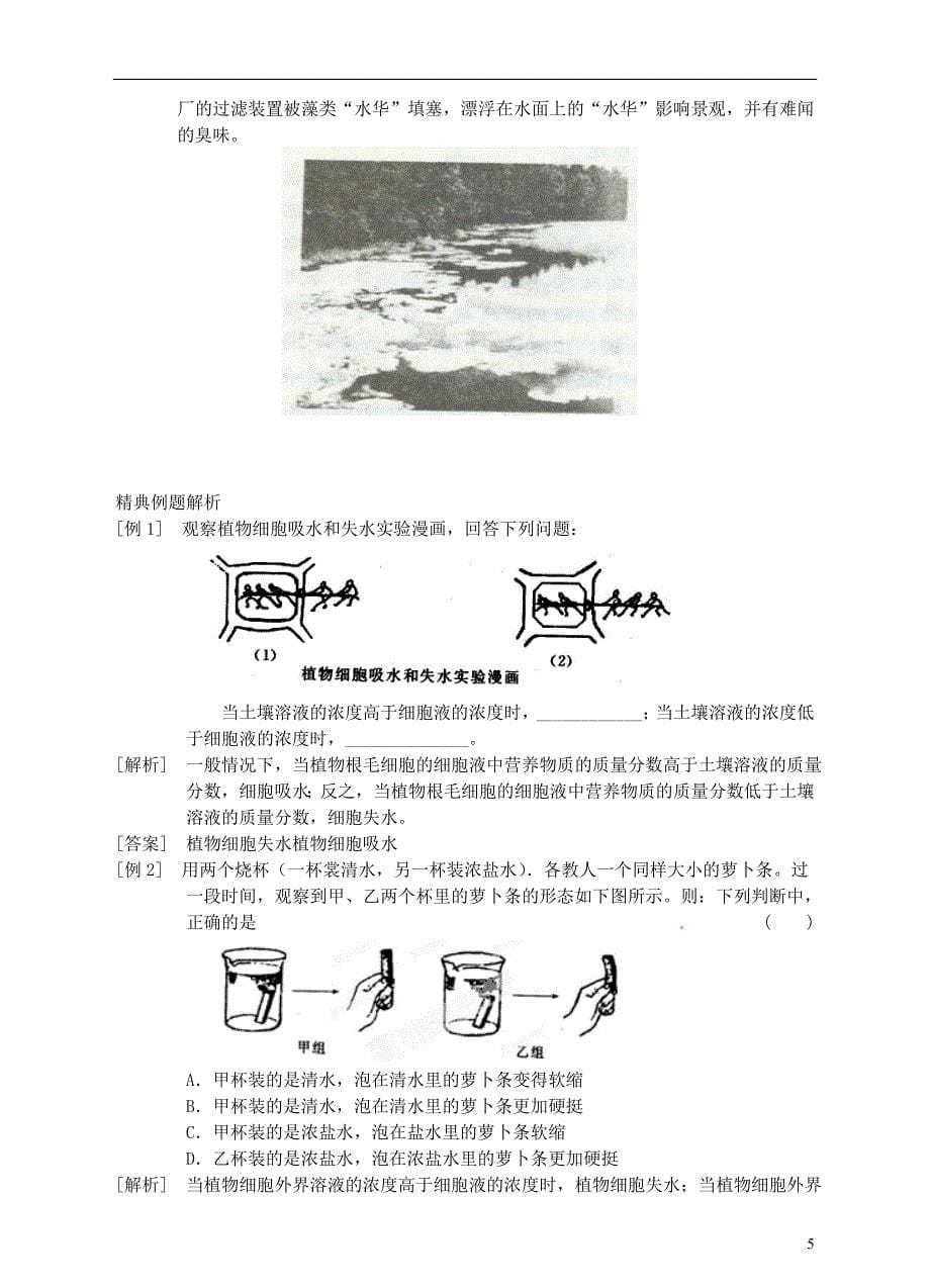 浙江省临海市新概念教育咨询有限公司八年级科学下册第三章第3节植物与土壤学案浙教版_第5页