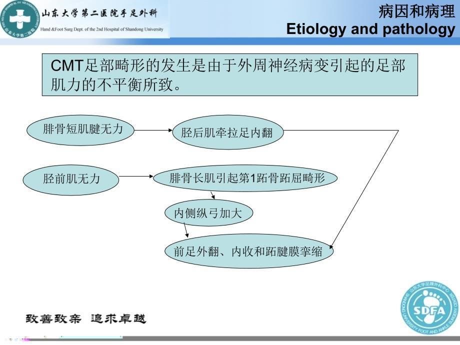 遗传性运动感觉神经病CMT_第5页