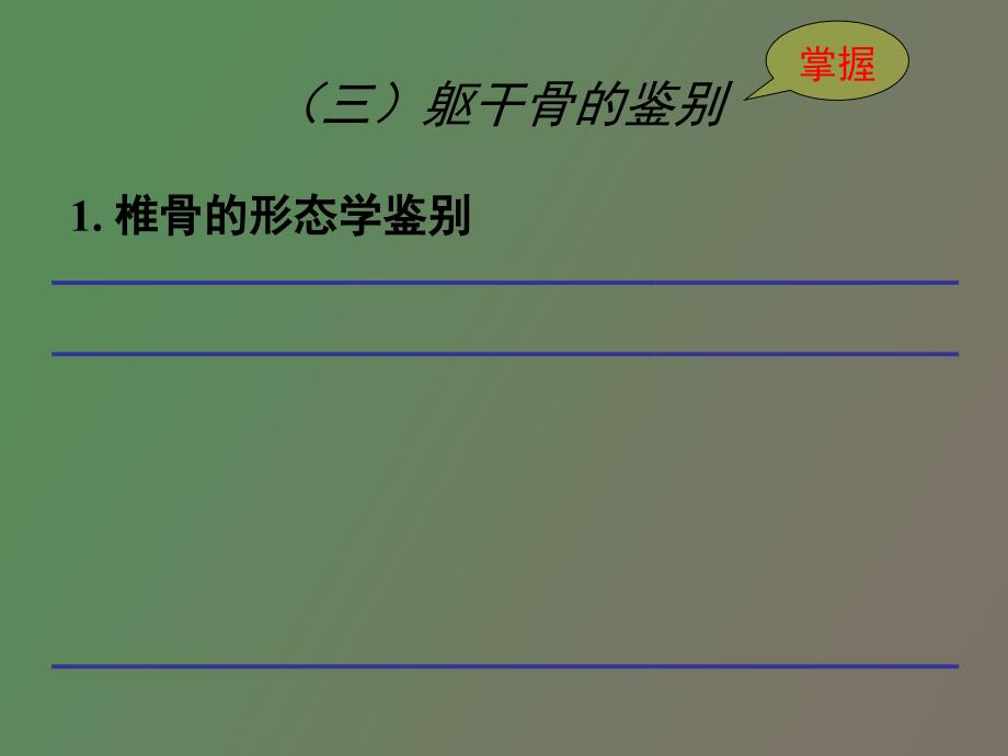 骨骼种属鉴定医学医药_第4页