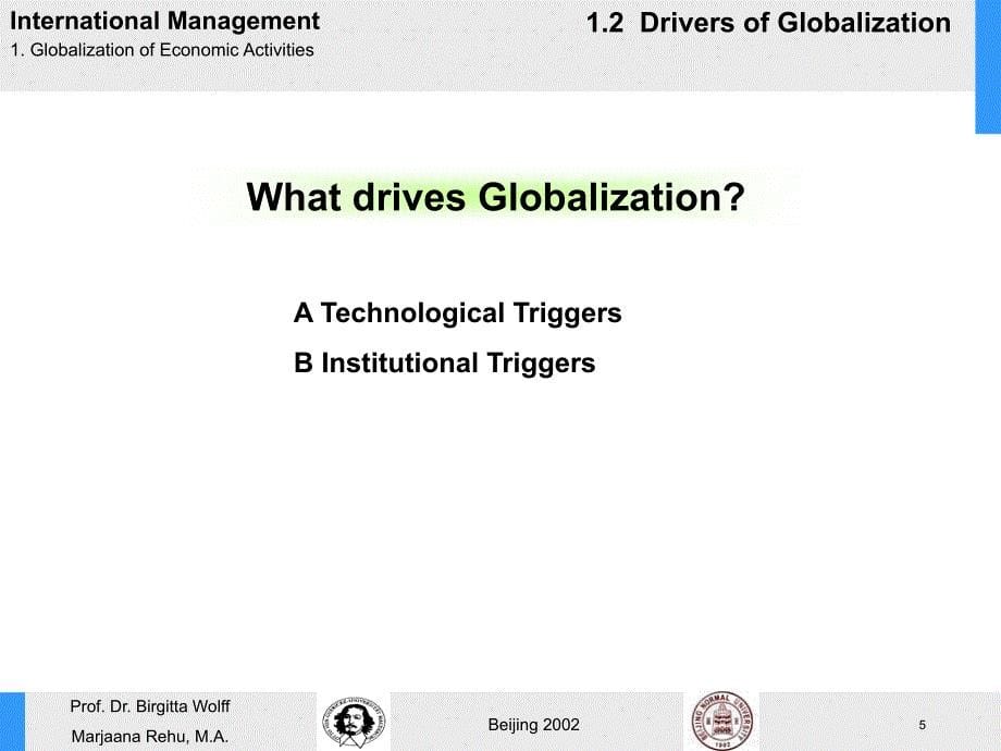 BasicsofInternationalManagement_第5页