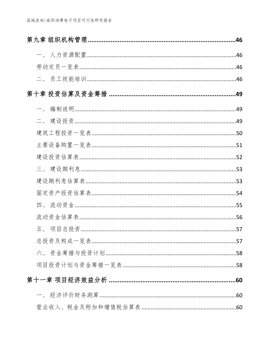 咸阳消费电子项目可行性研究报告【模板参考】_第4页