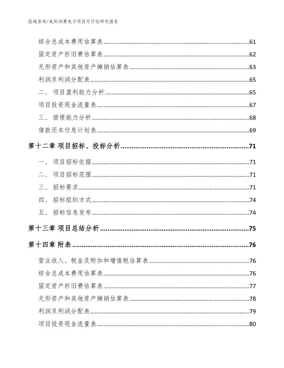 咸阳消费电子项目可行性研究报告【模板参考】_第5页