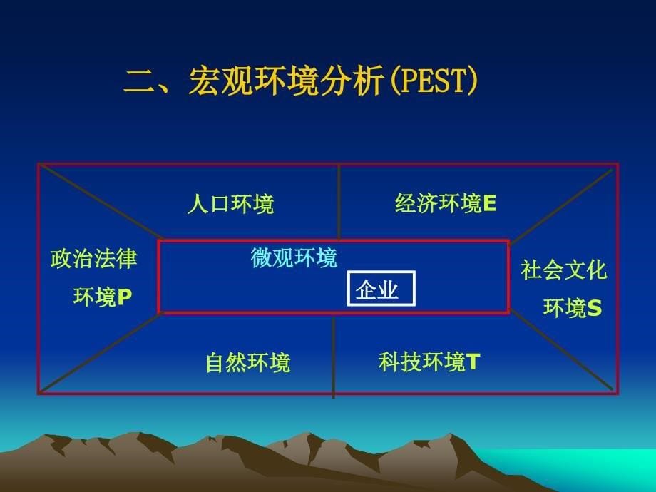 企业的外部环境分析_第5页