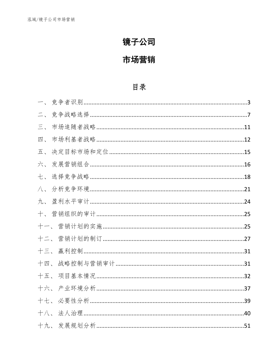 镜子公司市场营销（参考）_第1页