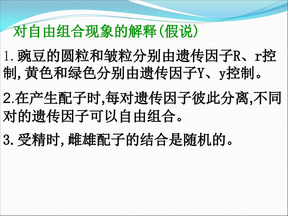 生物课件高一生物孟德尔的豌豆杂交实验_第4页