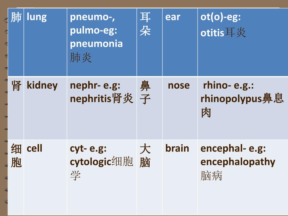 最简单的医学英语,适合初学者哦_第3页