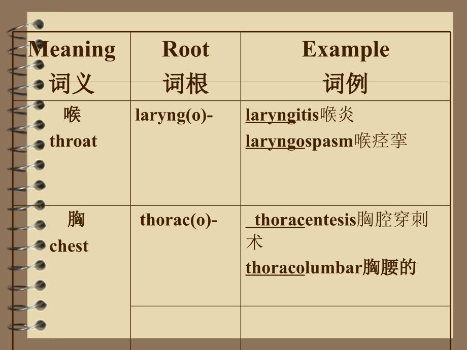 最简单的医学英语,适合初学者哦_第4页