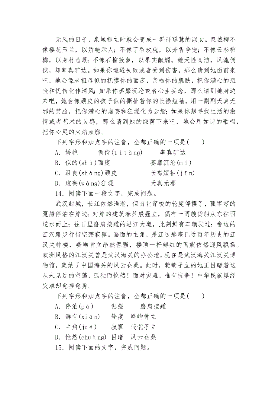 2023年中考语文二轮复习：字音字形突破训练部编人教版九年级总复习_第4页