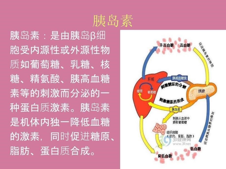 糖化血红蛋白ppt课件_第5页