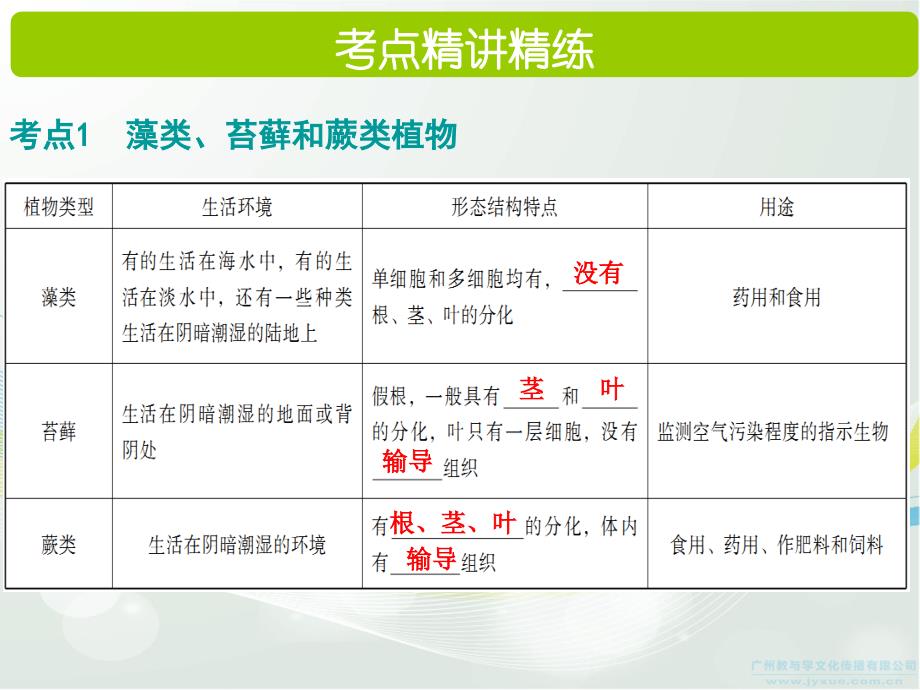 2017广东中考总复习生物第三单元生物圈中的绿色植物第一章-生物圈中有哪些绿色植物资料_第2页