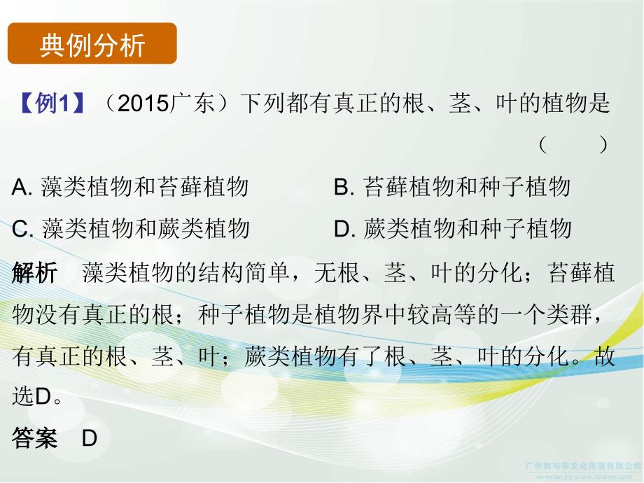 2017广东中考总复习生物第三单元生物圈中的绿色植物第一章-生物圈中有哪些绿色植物资料_第3页