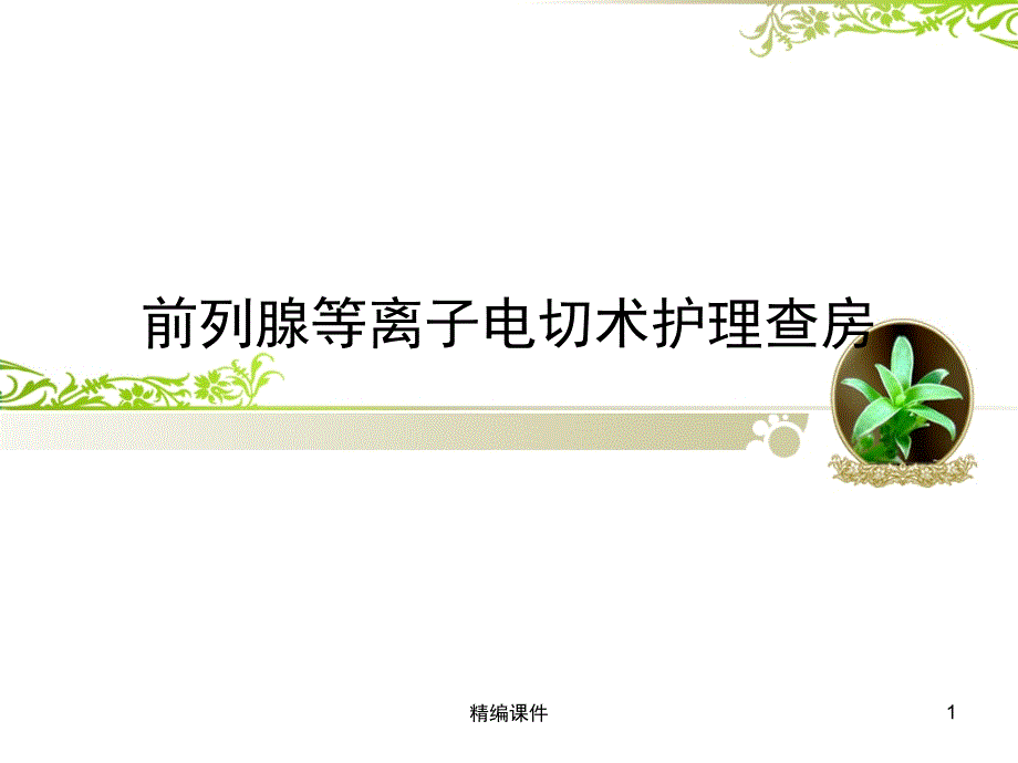 前列腺等离子电切术护理查房[培训调研]_第1页