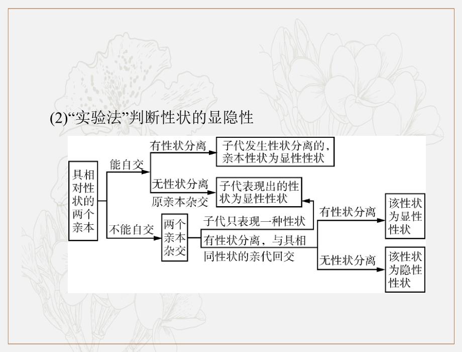 高考生物一轮复习课件：必修2 小专题四 基因的分离定律、自由组合定律的应用及计算方法突破_第3页