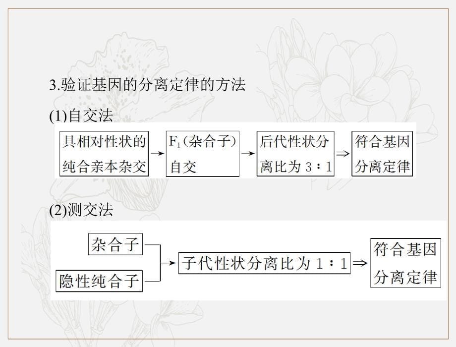 高考生物一轮复习课件：必修2 小专题四 基因的分离定律、自由组合定律的应用及计算方法突破_第5页