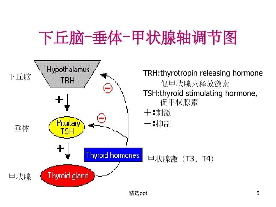 甲状腺功能检测1_第5页