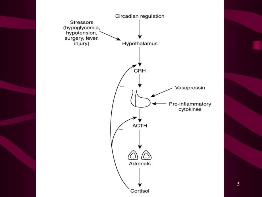 垂体肾上腺疾病_第5页