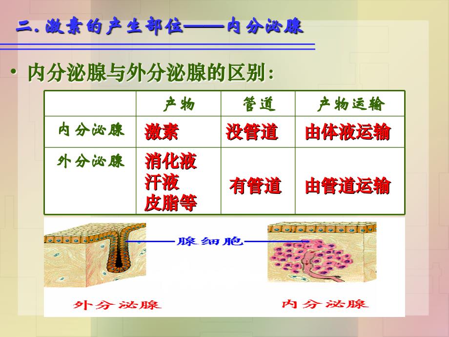 激素调节第一轮复习.ppt_第3页